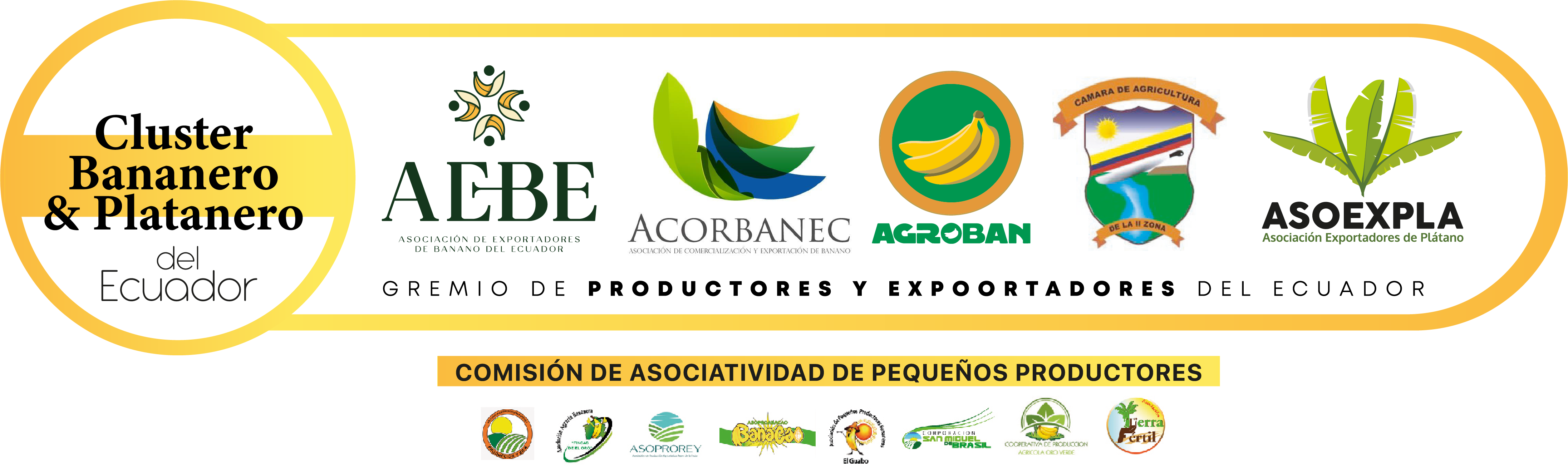 Logo de Cluster Bananero y Platanero del Ecuador